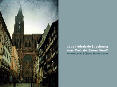 La cathédrale de Strasbourg sous l'œil de Simon Woolf