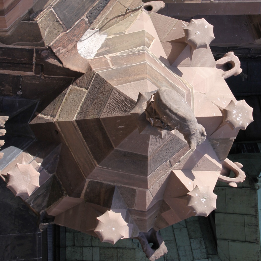 Tourelle heptagonale, les gargouilles sont restituées et le chat traité en conservation