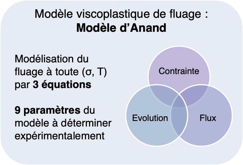 Modèle d'Anand, crédit : Cléa Merucci