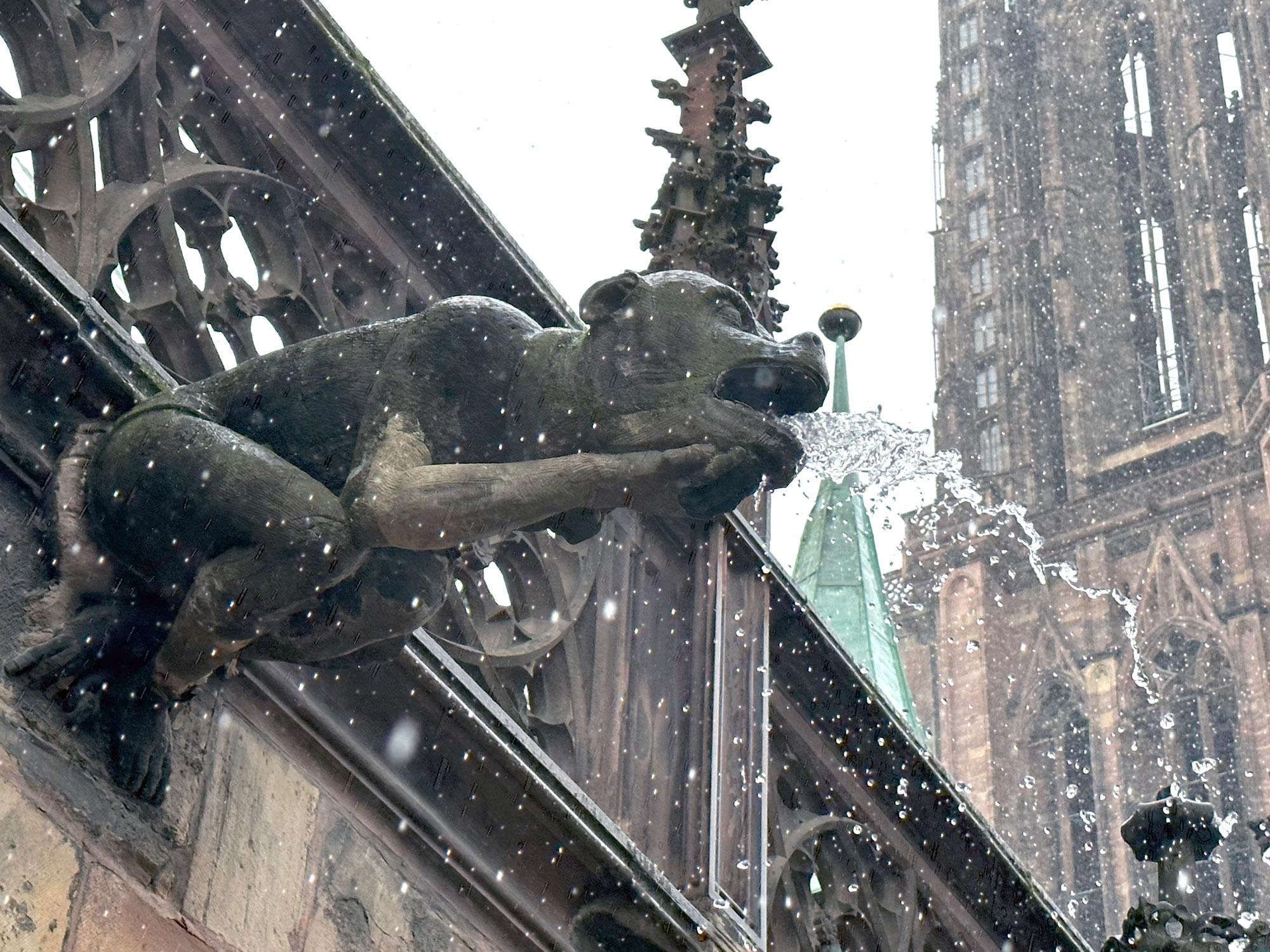 Gargouille de la cathédrale, crédit : F.OND
